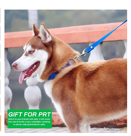  潜水用不锈钢双头弹簧钩